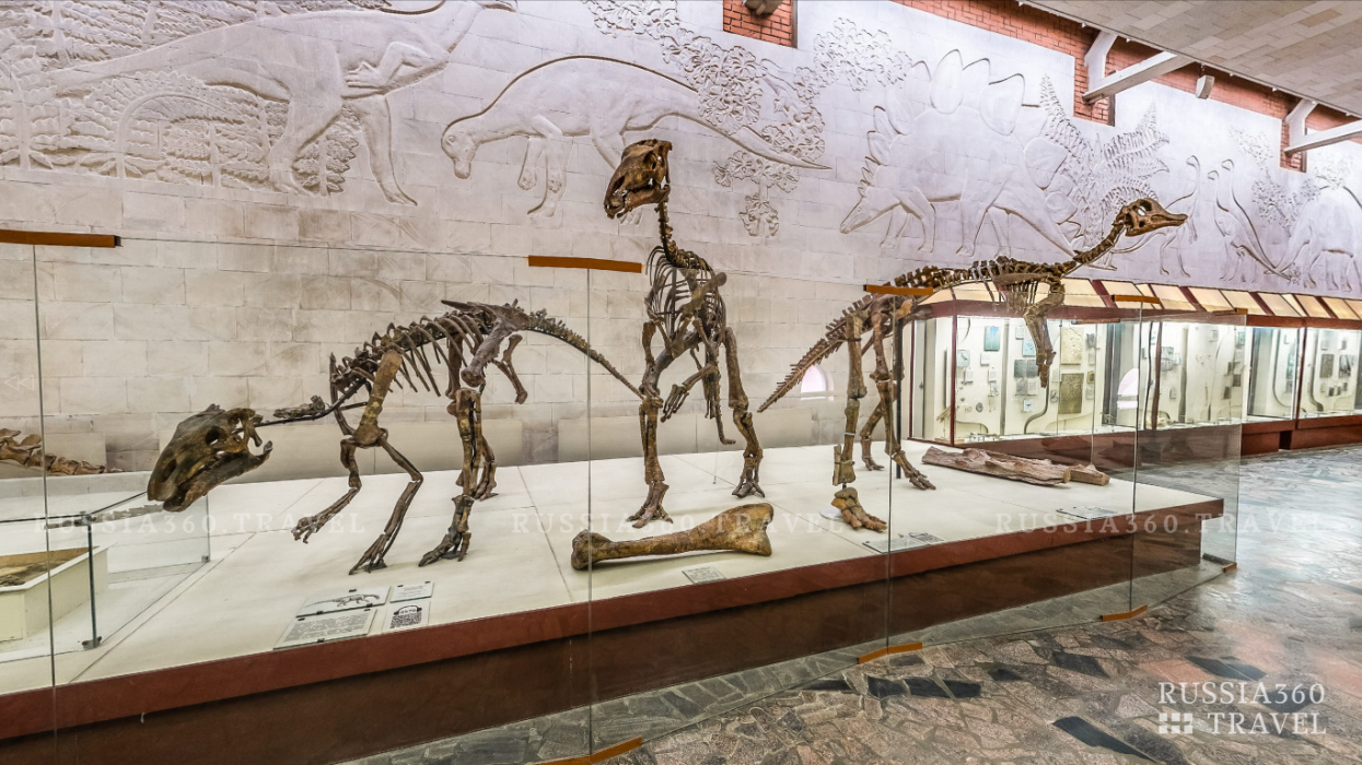 Фото Палеонтологический музей
