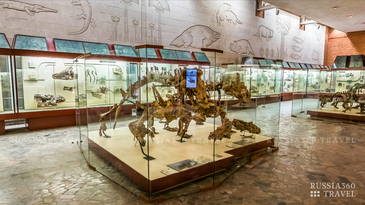 Фото Палеонтологический музей